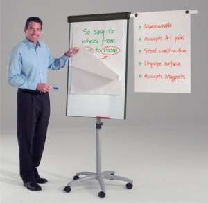 Buzzard Mobile Magnetic Flipchart Easel